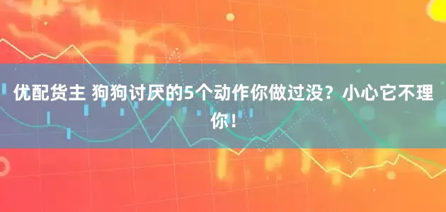 优配货主 狗狗讨厌的5个动作你做过没？小心它不理你！