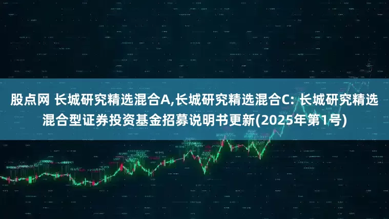 股点网 长城研究精选混合A,长城研究精选混合C: 长城研究精选混合型证券投资基金招募说明书更新(2025年第1号)