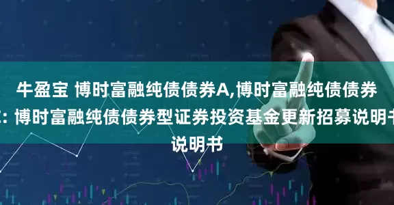 牛盈宝 博时富融纯债债券A,博时富融纯债债券C: 博时富融纯债债券型证券投资基金更新招募说明书