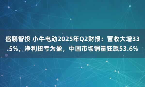 盛鹏智投 小牛电动2025年Q2财报：营收大增33.5%，净利扭亏为盈，中国市场销量狂飙53.6%